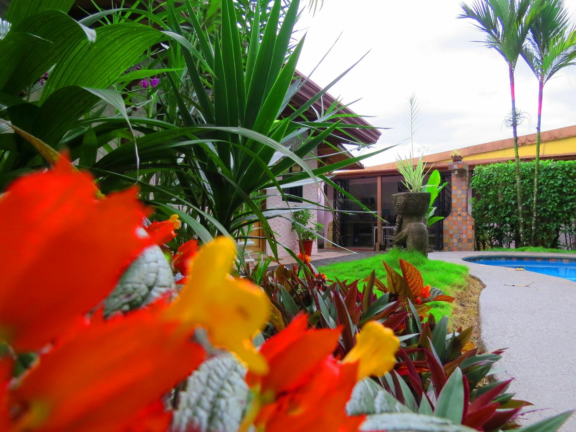 Hotel Vagabondo La Fortuna Exteriör bild